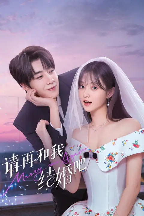 《请再和我结婚吧》封面