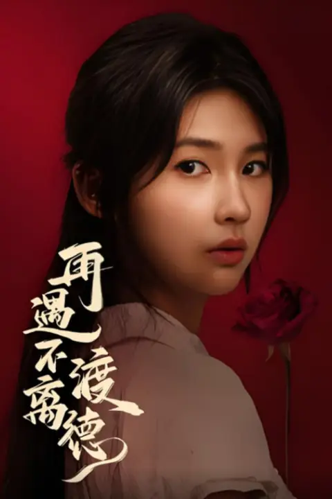 《再遇不渡离德》封面