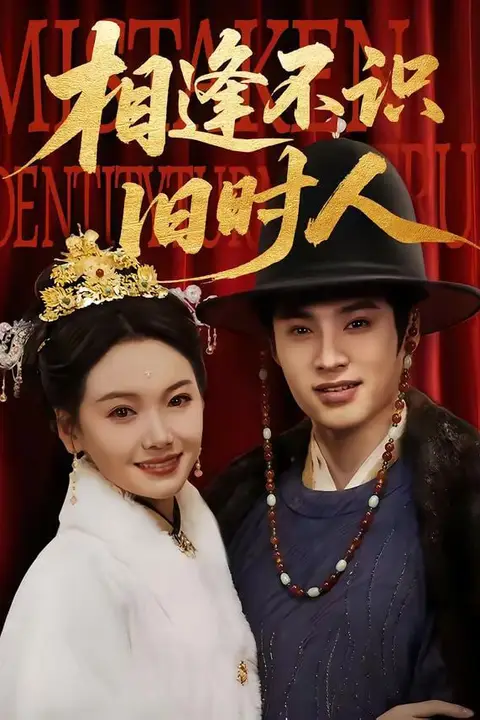 《相逢不识旧时人》封面
