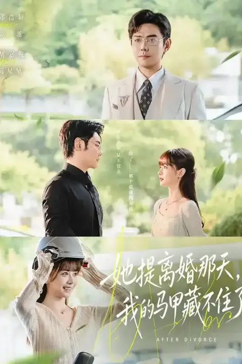 《她提离婚那天，我的马甲藏不住了》封面