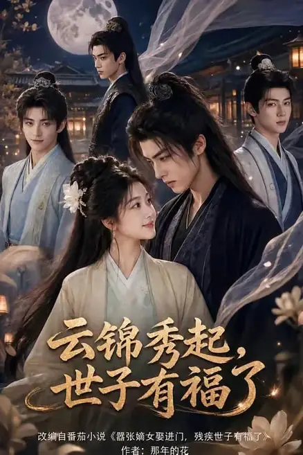 《云锦秀起，世子有福了》封面