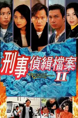《刑事侦缉档案2》封面