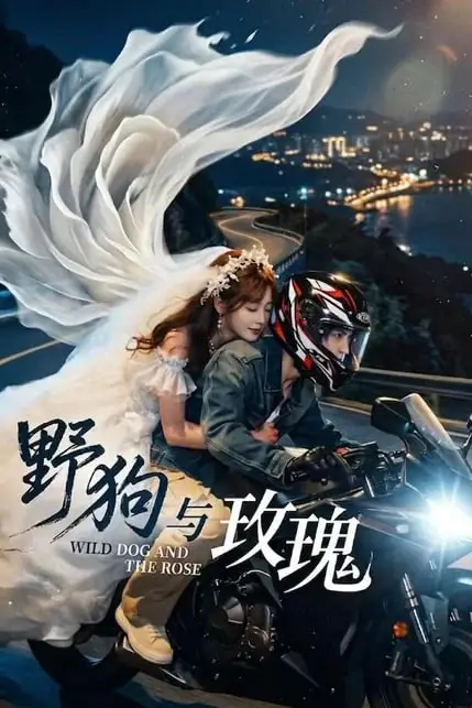 《野狗与玫瑰》封面