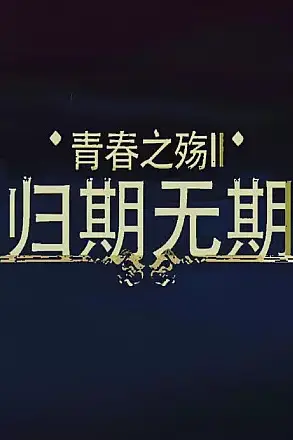 《青春之殇II:归期无期》封面
