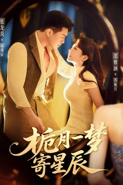《栀月一梦寄星辰》封面