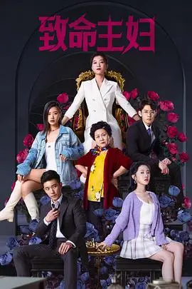 《致命主妇》封面