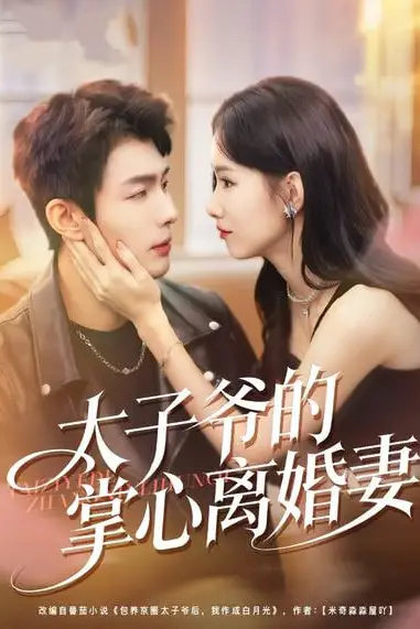 《太子爷的掌心离婚妻》封面