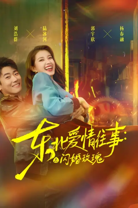 《东北爱情往事闪婚玫瑰》封面