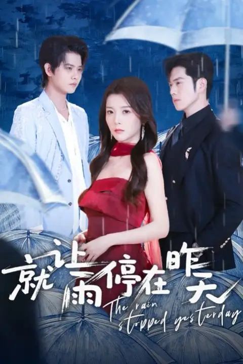 《就让雨停在昨天》封面