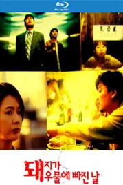 《猪堕井的那天》封面