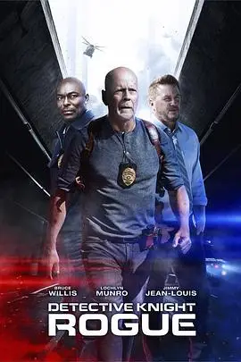 《警探奈特:侠盗》封面