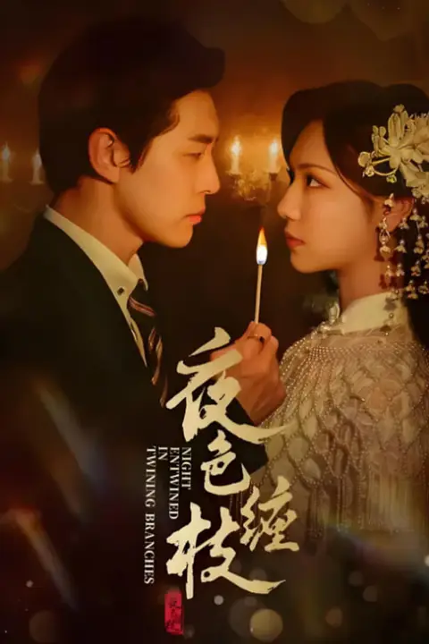 《夜色缠枝》封面