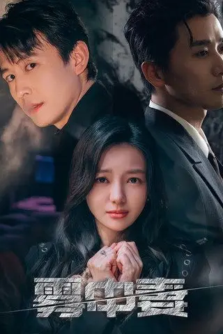 《雾中妻》封面