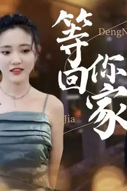 《等你回家》封面