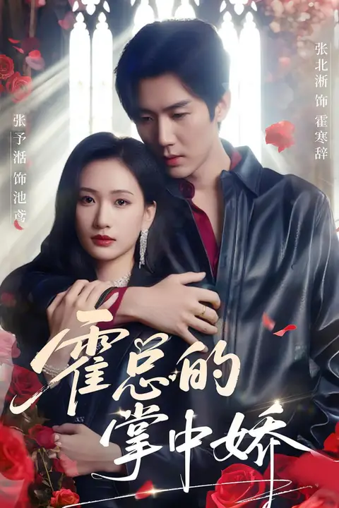 《霍总的掌中娇》封面
