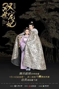 《双世宠妃》封面