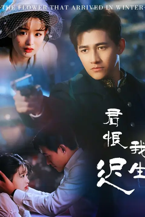 《君恨我生迟(司令府就是我的家)》封面