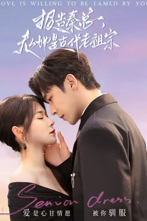 《报告秦总，夫人她是古代老祖宗》封面