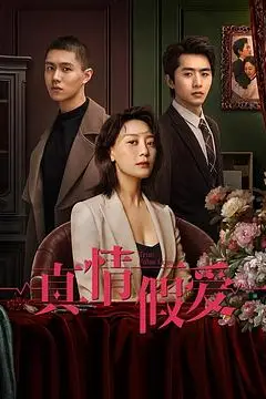 《真情假爱》封面