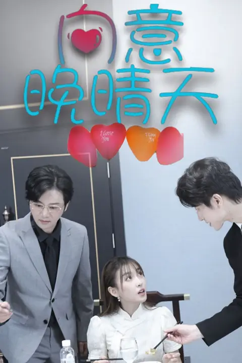 《向意晚晴天》封面