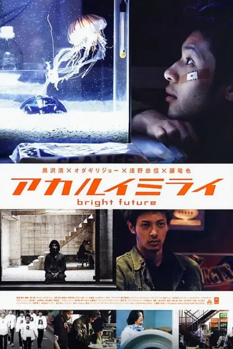 《光明的未来》封面