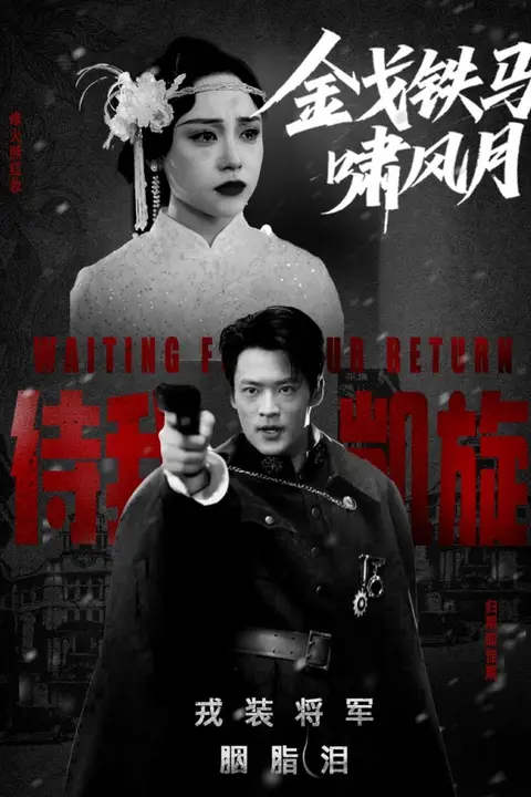 《金戈铁马啸风月》封面