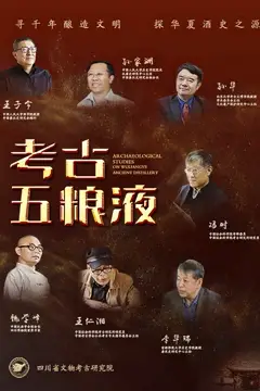 《考古五粮液系列专题片》封面