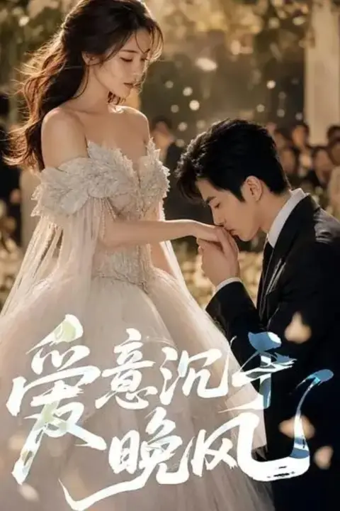 《爱意沉于晚风》封面
