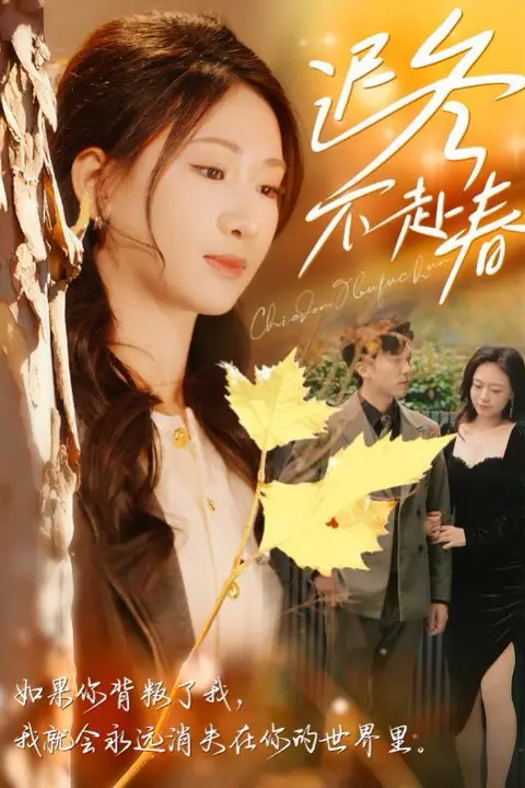 《迟冬不赴春》封面