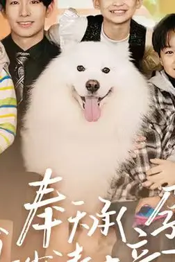《奉天承孕:傅少请接芷(奉天承孕傅少请接芷)》封面