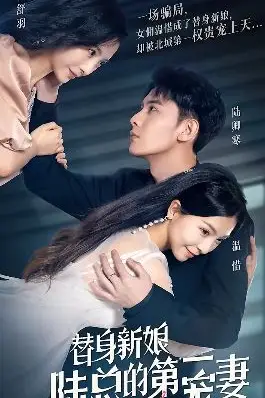 《替身新娘：陆总的第一宠妻》封面