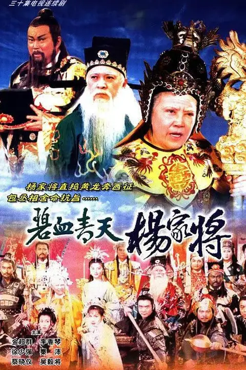 《碧血青天杨家将》封面