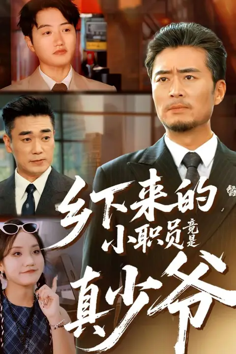 《乡下来的小职员竟是真少爷》封面