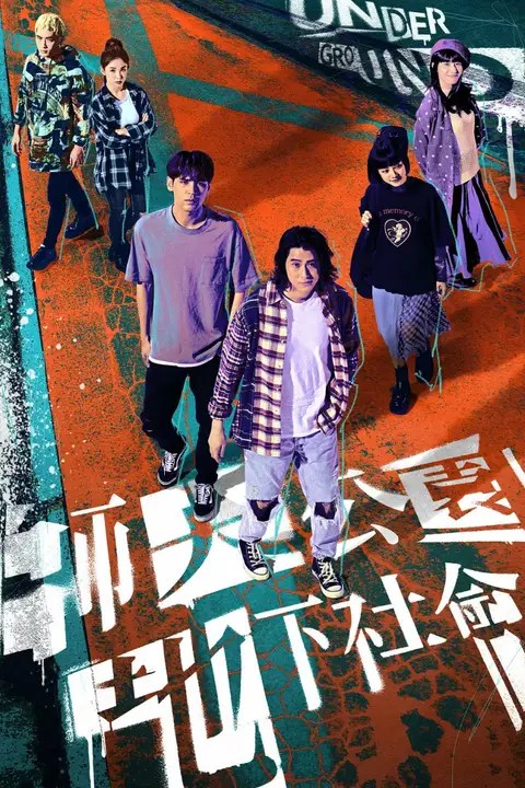 《师大公园地下社会》封面