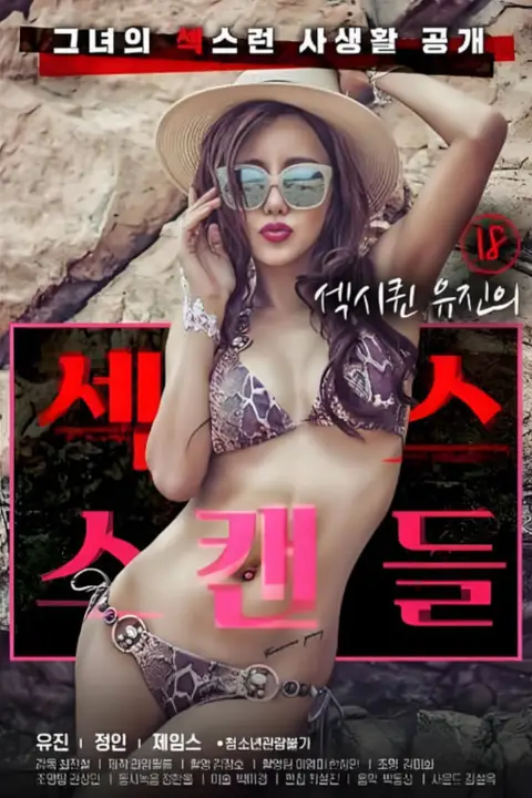 《18岁性感女王的性丑闻》封面