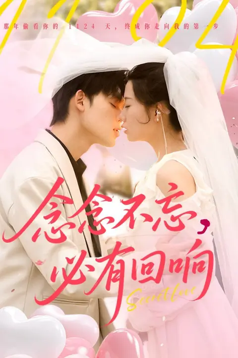 《念念不忘,必有回响》封面
