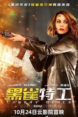 《黑雀特工普通话版》封面