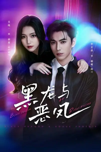 《黑龙与恶凤》封面