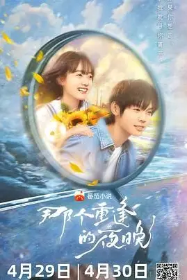 《那个重逢的夜晚》封面