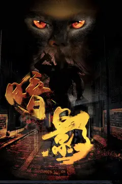 《暗影》封面