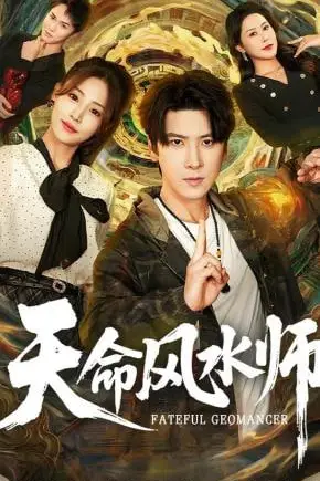 《天命风水师》封面