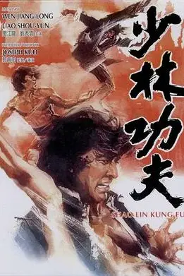 《少林功夫》封面