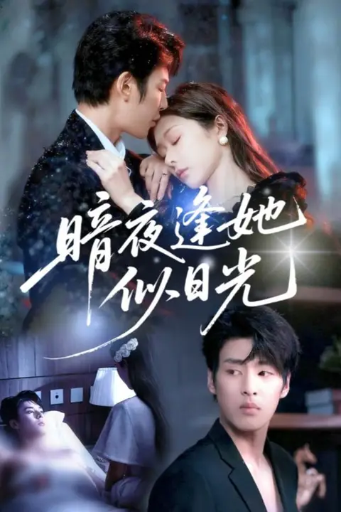 《暗夜逢她似日光》封面