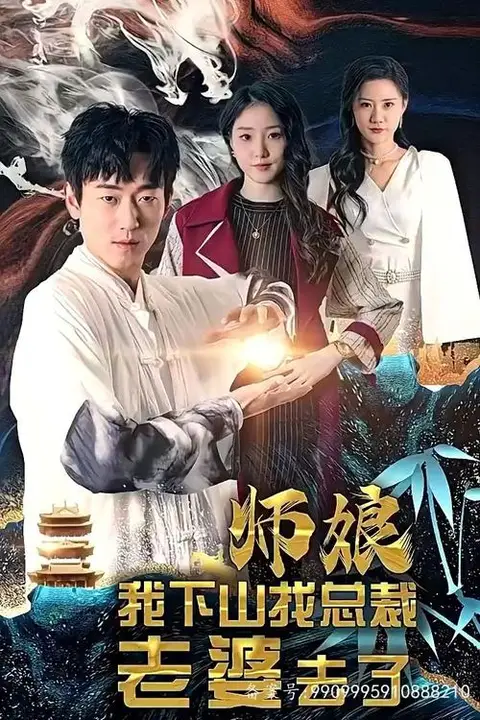 《师娘我下山找总裁老婆了》封面