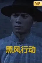 《黑风计划》封面