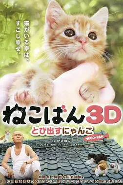 《小猫跳出来3D》封面
