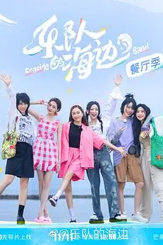《乐队的海边》封面