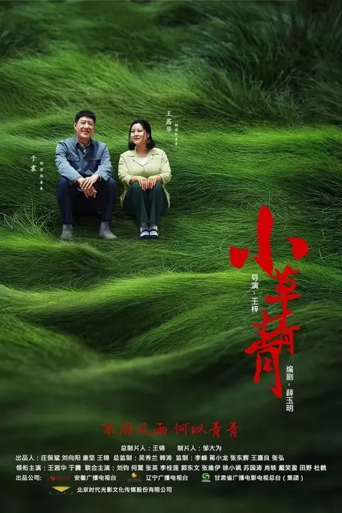 《小草青青》封面