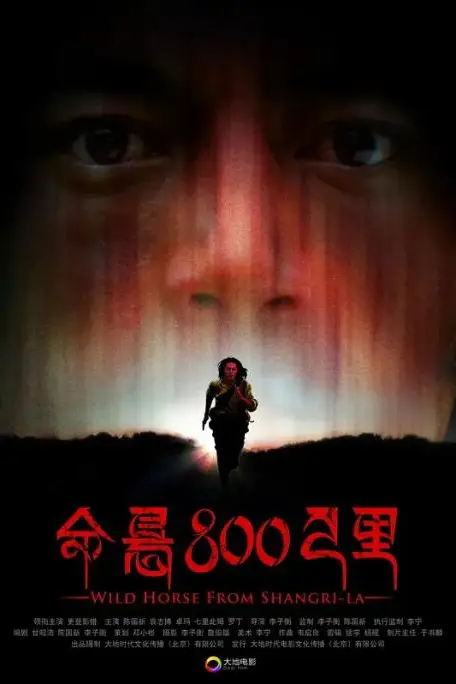 《命悬800公里》封面