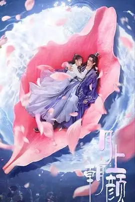 《月上朝颜》封面